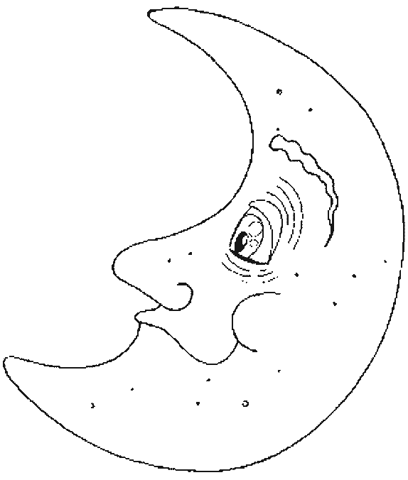 Luna creciente #28265