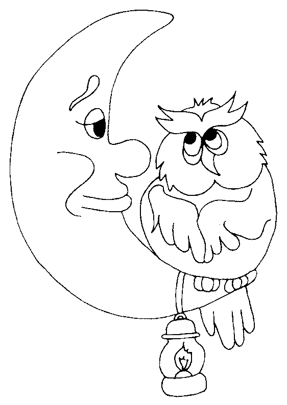 Luna creciente #28270