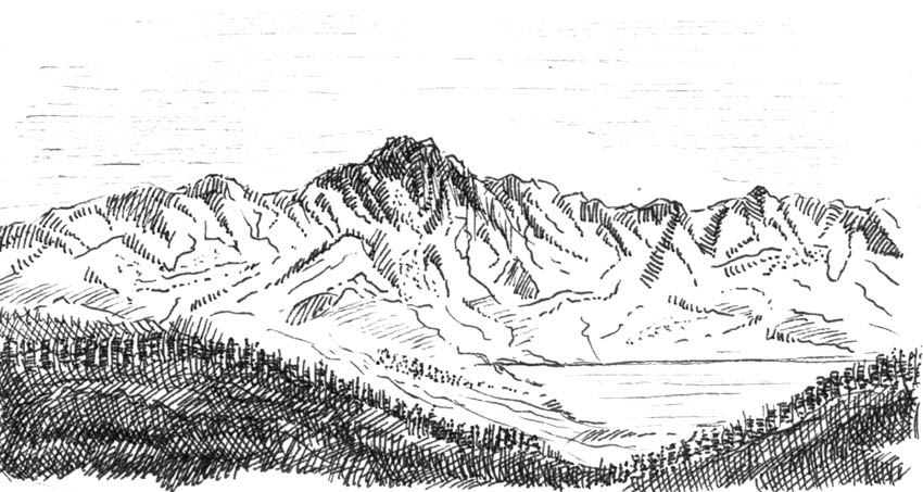 Montaña #28376