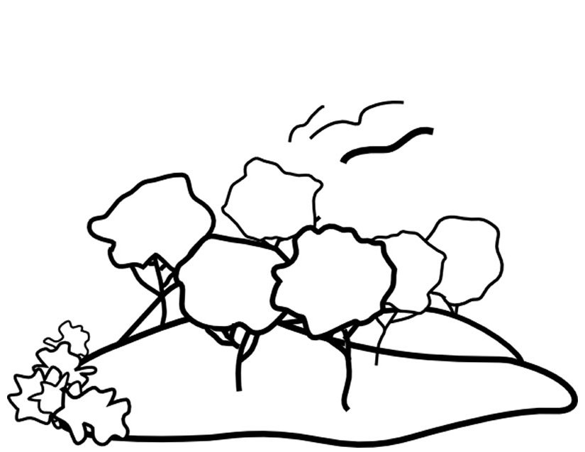 Montaña #28395