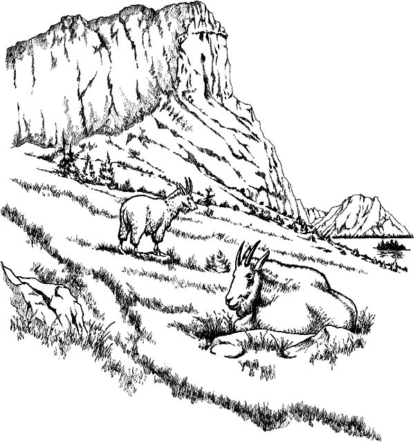 Montaña #28398