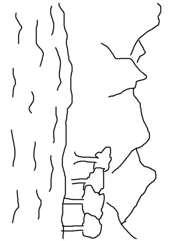 Montaña #28403