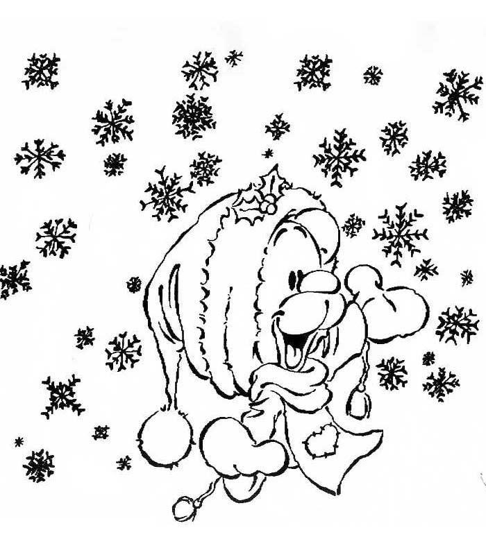 Nieve #28437