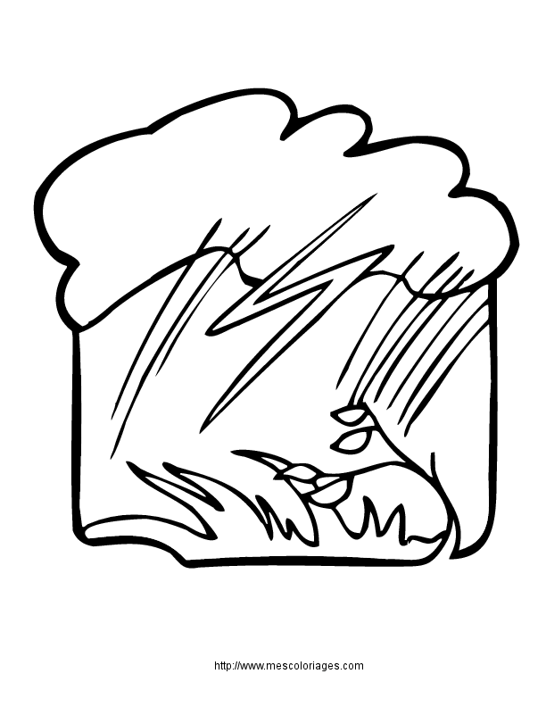 Nube #28558