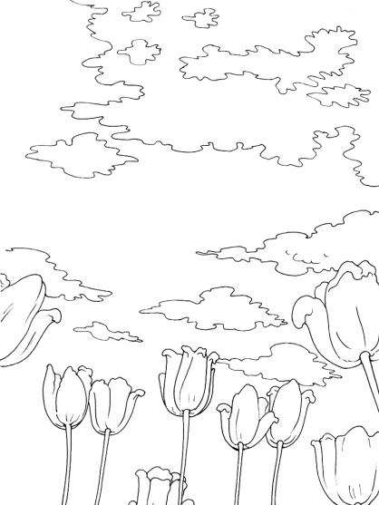 Nube #28576