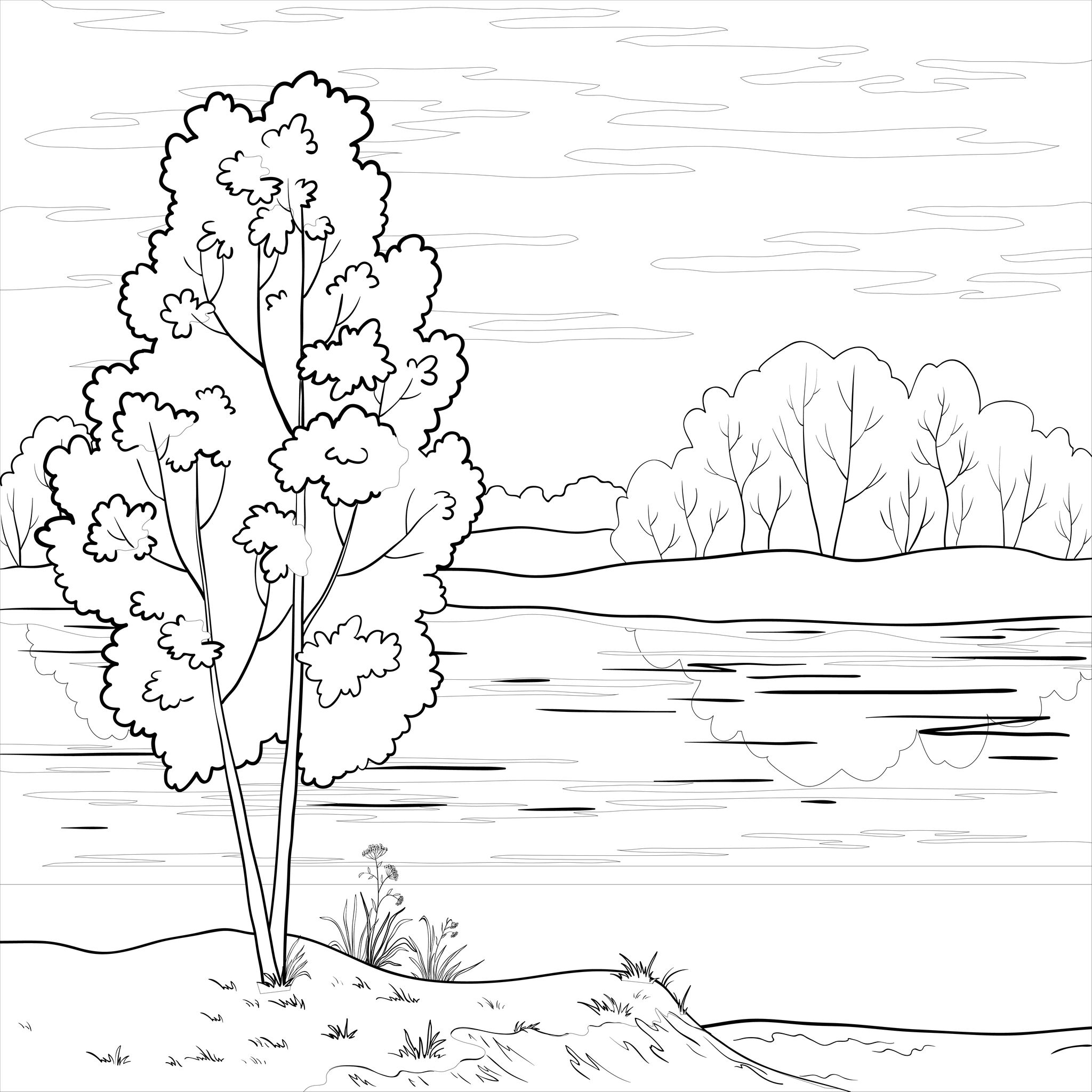 Paisaje #28597