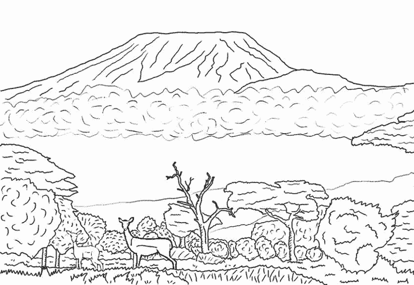 Paisaje #28599