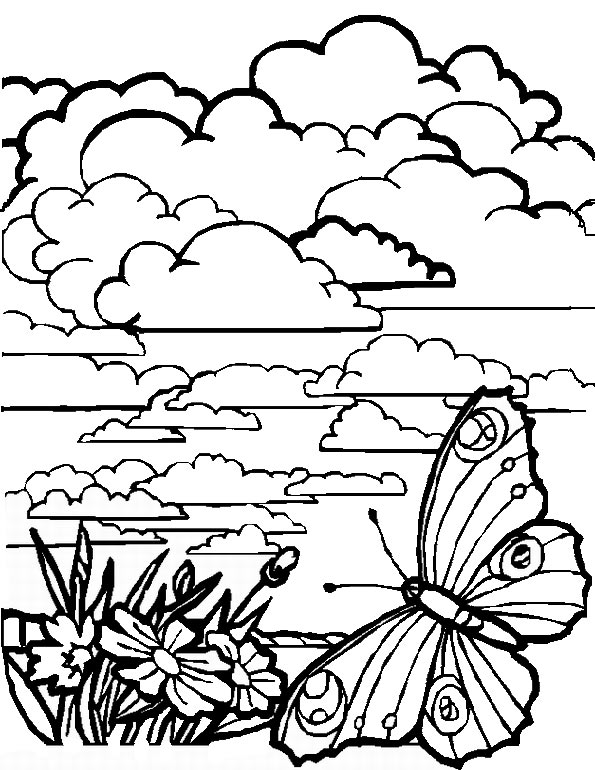 Paisaje #28604