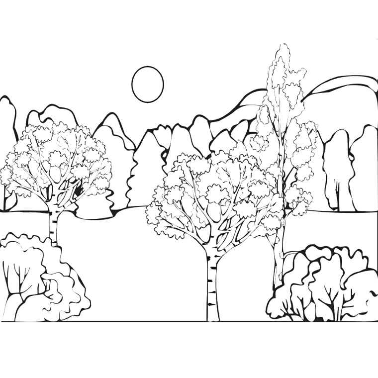 Paisaje #28607