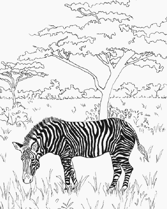 Paisaje #28614