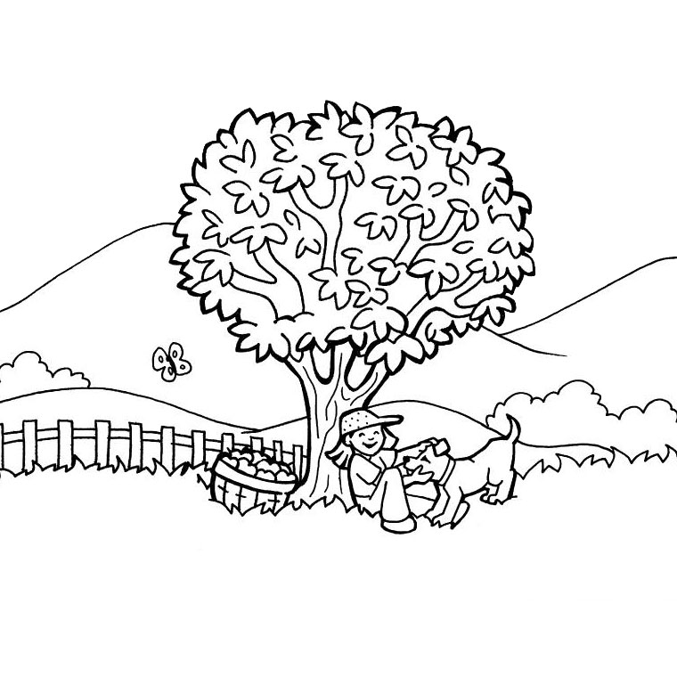 Paisaje #28619