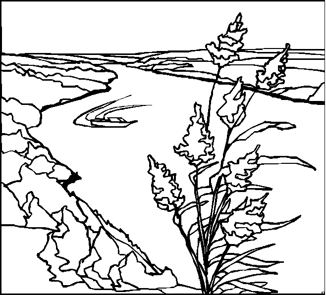 Paisaje #28646