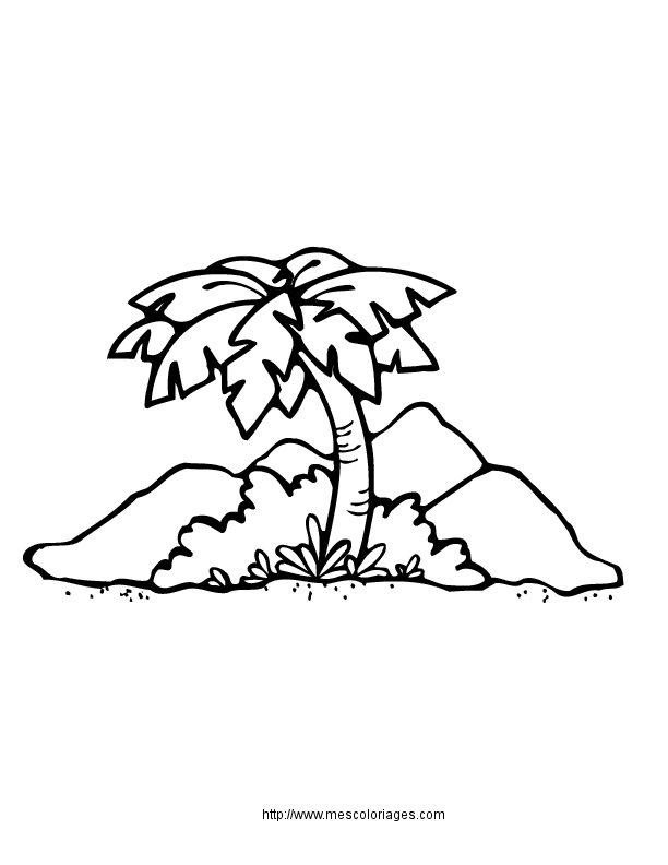 Paisaje #28656