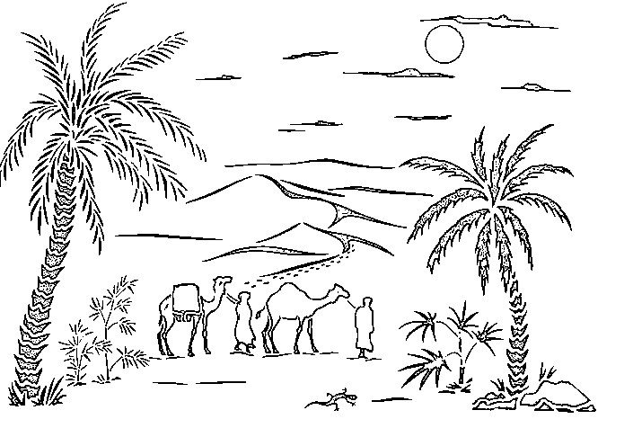 Palmera #28664