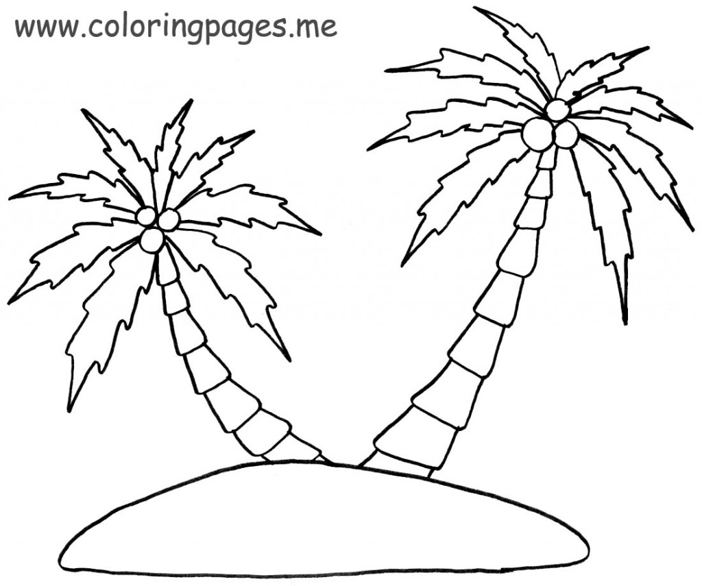 Palmera #28665
