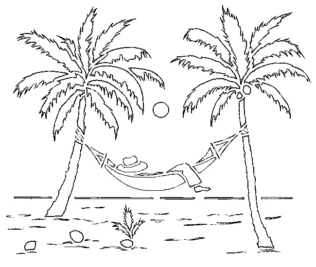 Palmera #28666