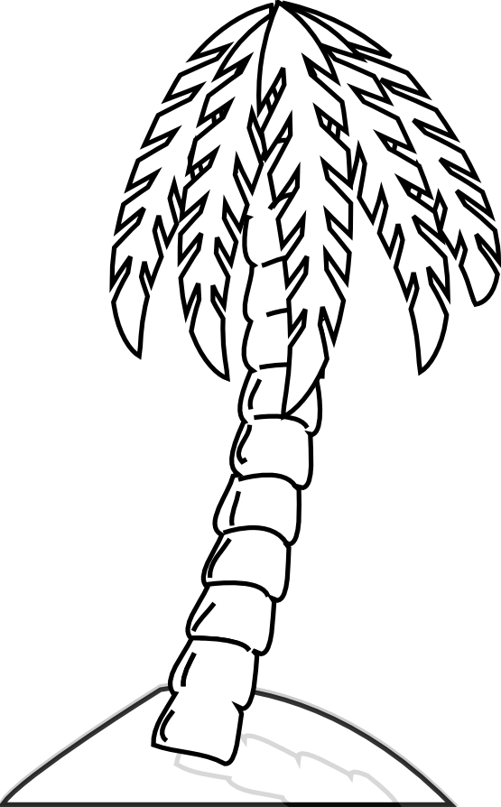 Palmera #28672