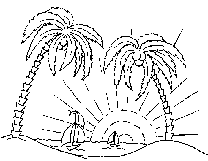 Palmera #28673