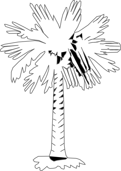Palmera #28677
