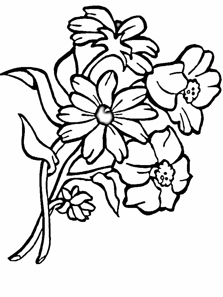 Ramo de flores #28923