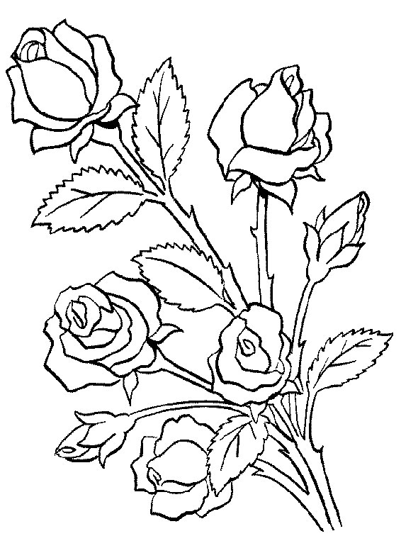 Ramo de flores #28947