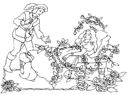 Ramo de flores #28951
