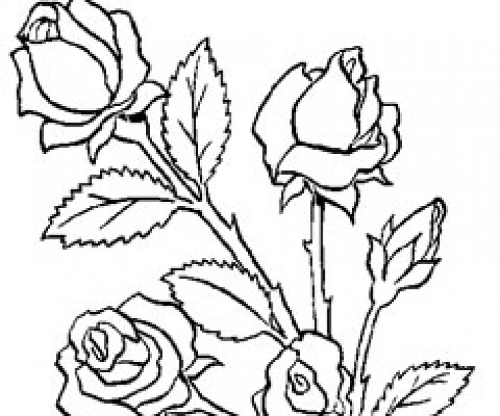 Ramo de flores #28957