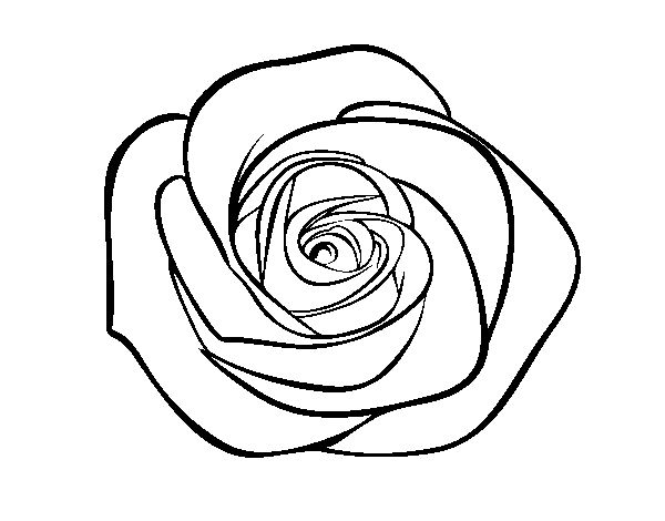 Ramo de flores #28960