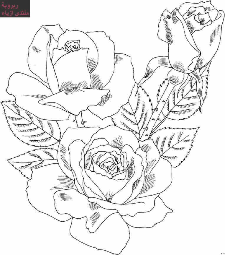 Ramo de flores #28963