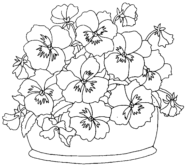Ramo de flores #28971