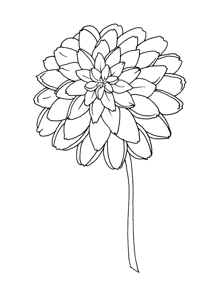 Ramo de flores #28990
