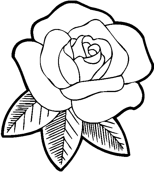 Rosas #29034