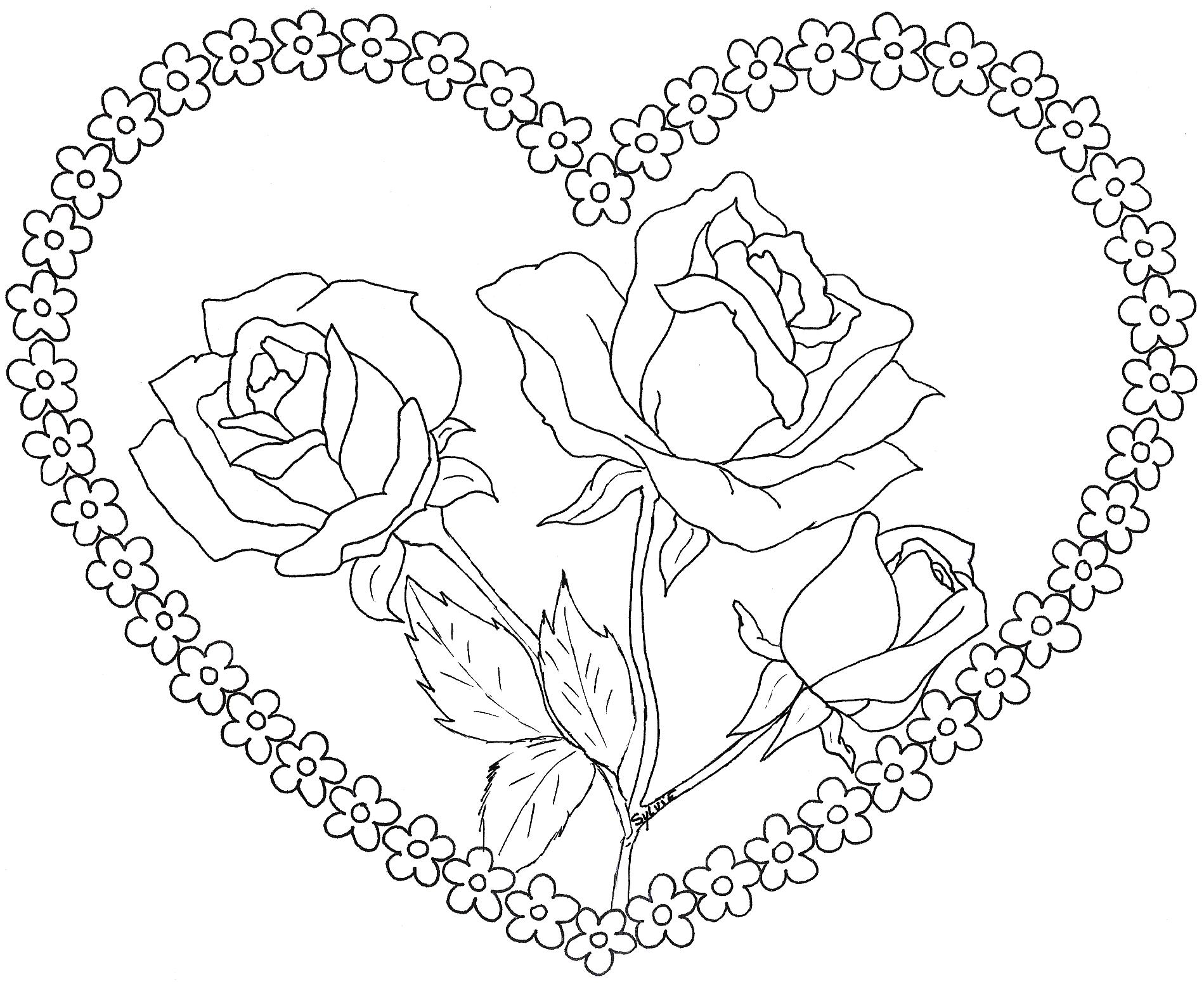Rosas #29040