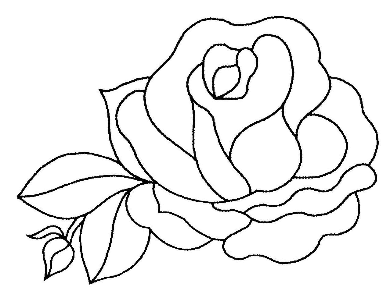 Rosas #29041