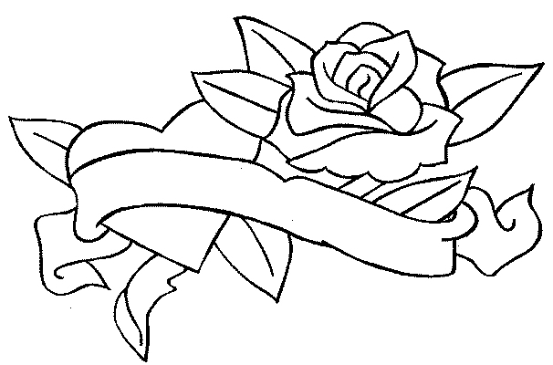 Rosas #29058
