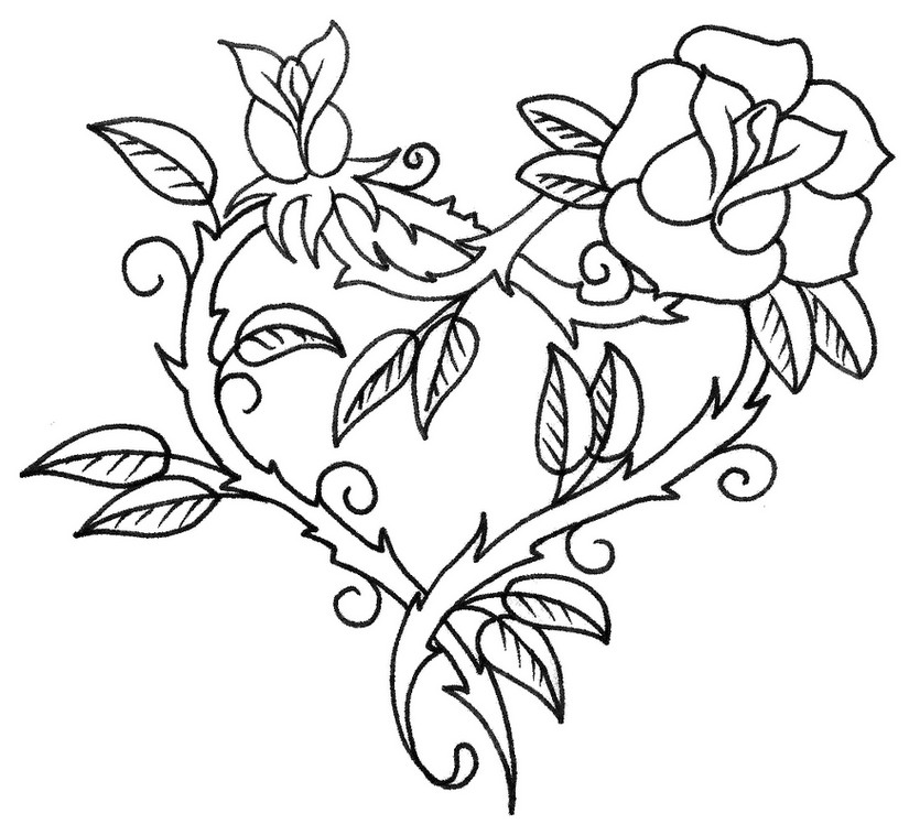 Rosas #29059