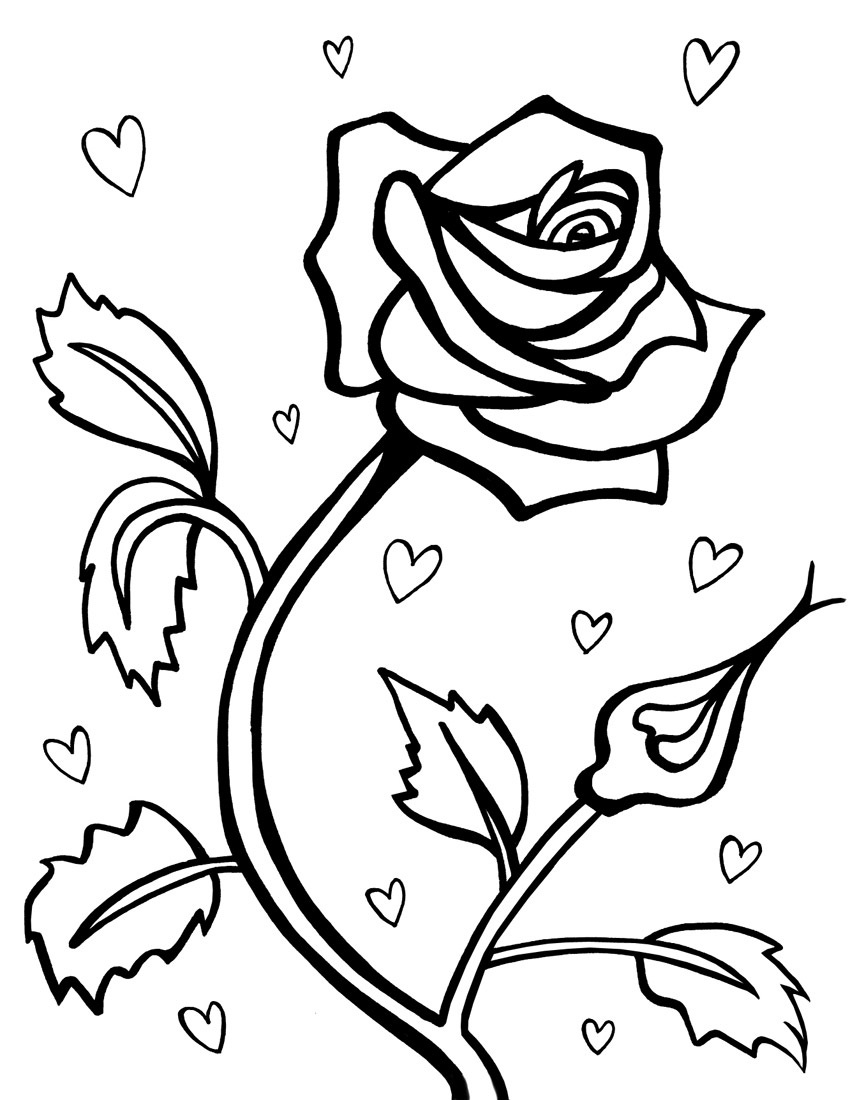 Rosas #29066
