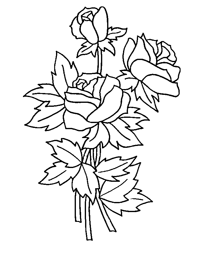 Rosas #29068