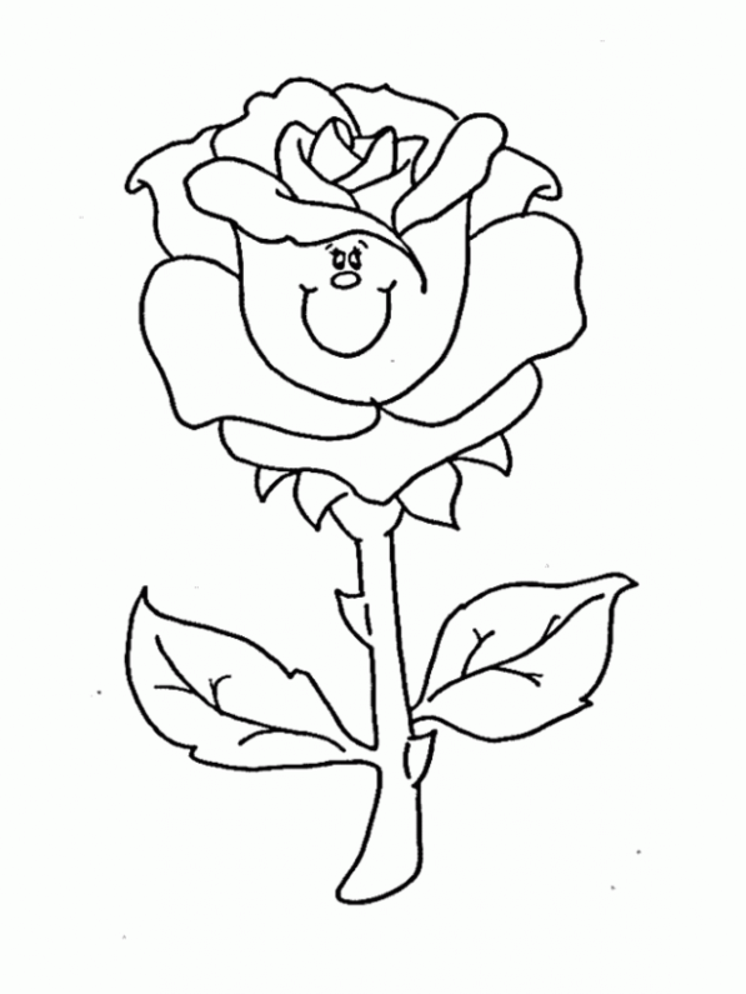 Rosas #29072