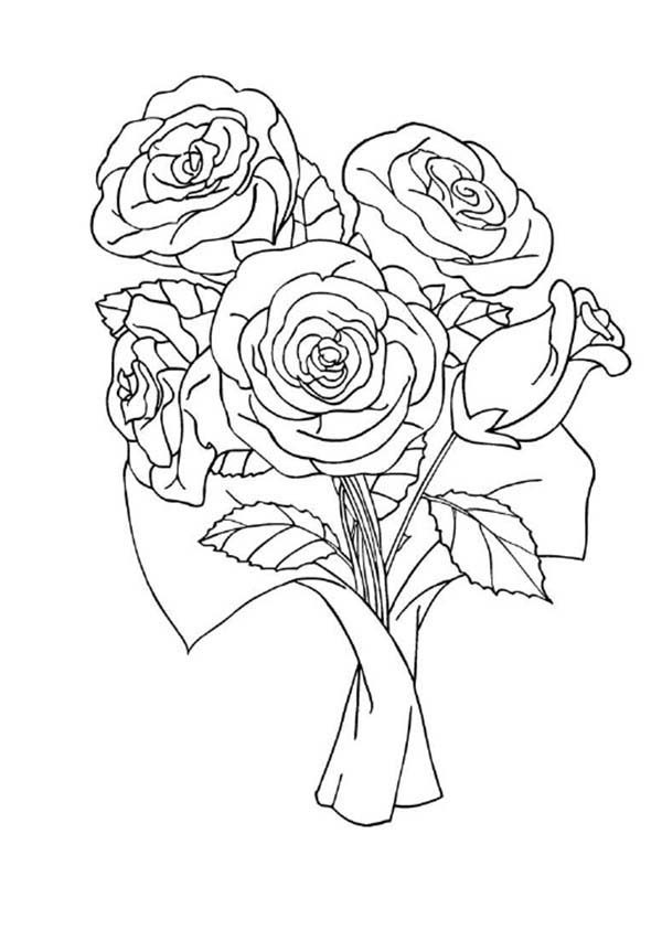 Rosas #29073