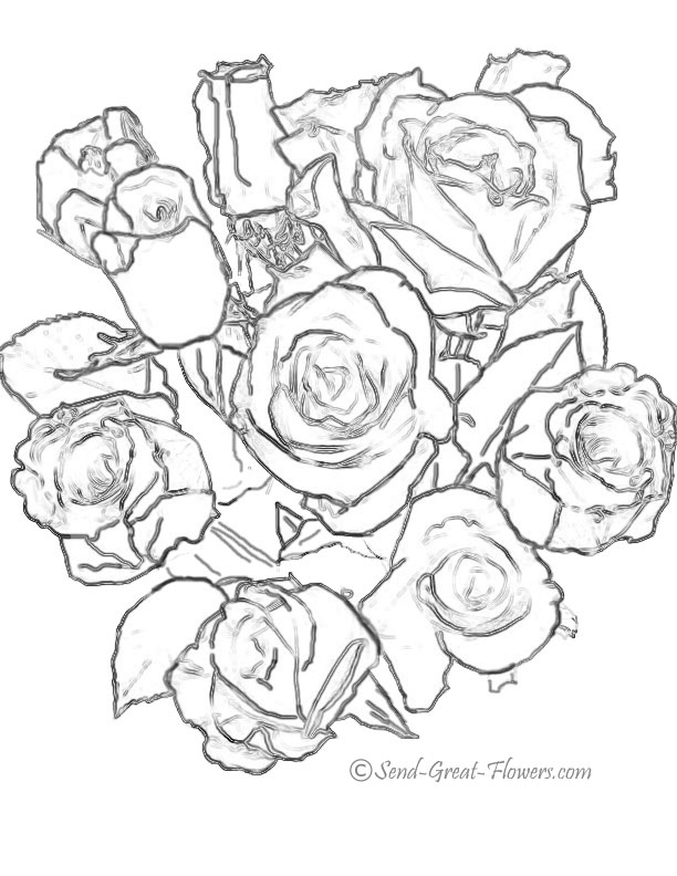 Rosas #29082