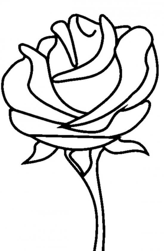 Rosas #29097