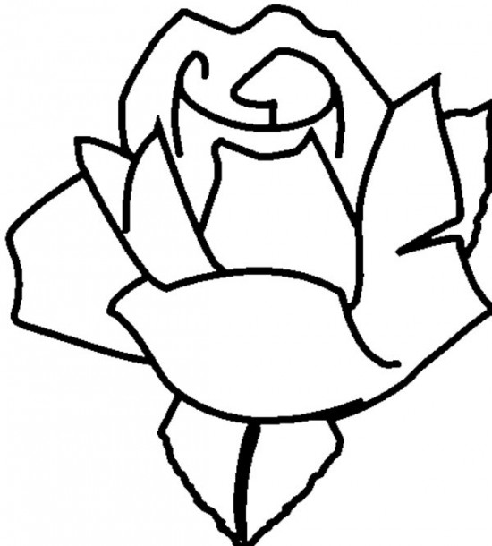 Rosas #29103