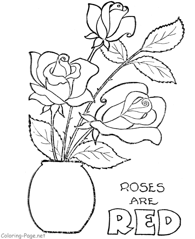 Rosas #29107