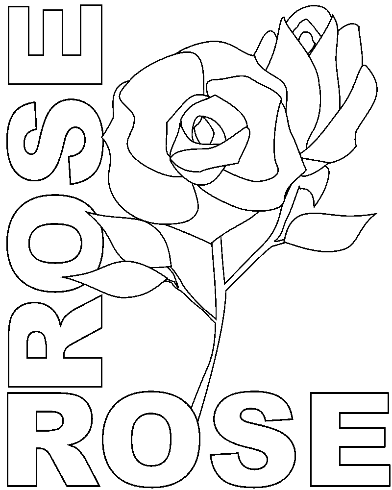 Rosas #29127