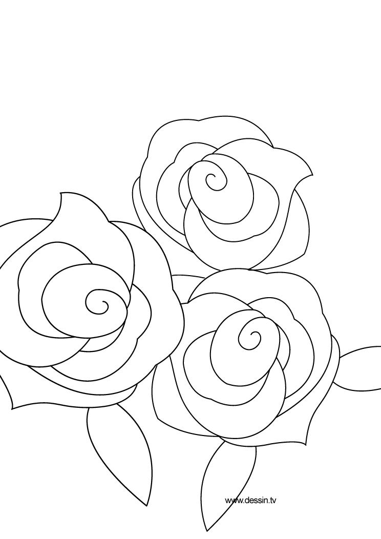 Rosas #29134