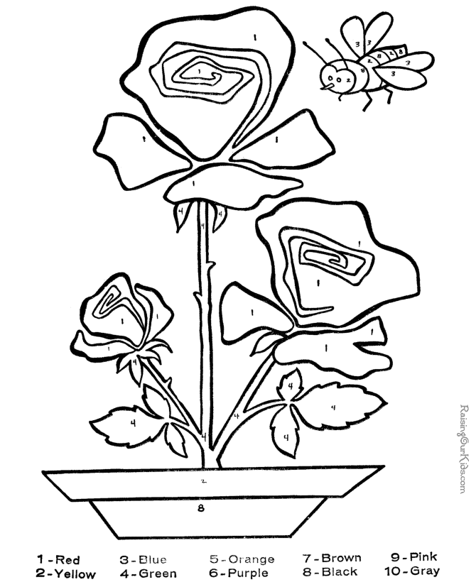 Rosas #29135