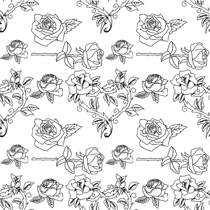 Rosas #29138
