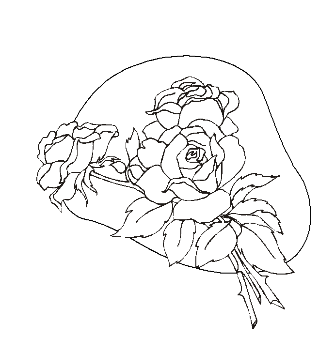 Rosas #29141