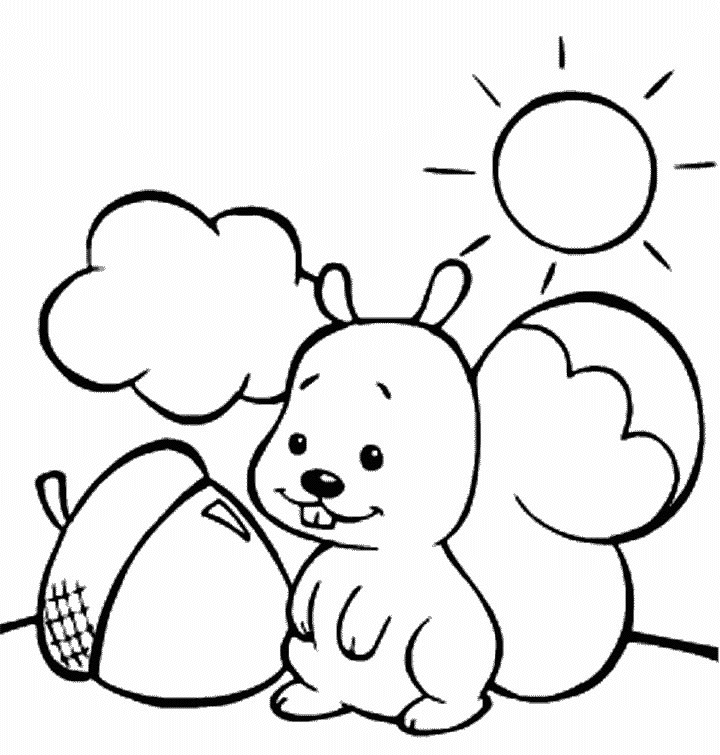 Sol #29204